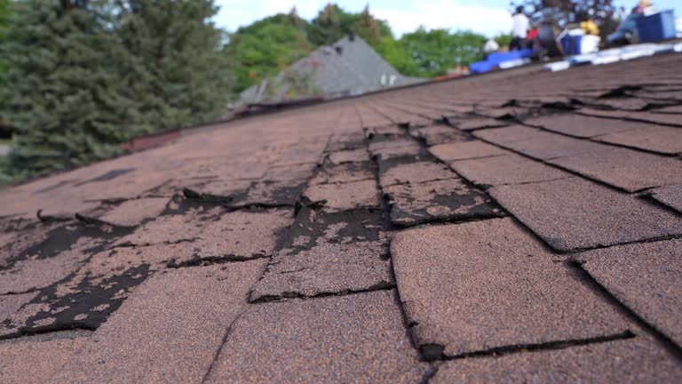 Waterproofing in Paddock Lake, WI