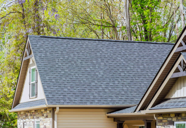 Best Steel Roofing  in Paddock Lake, WI
